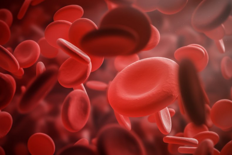 Red blood cells