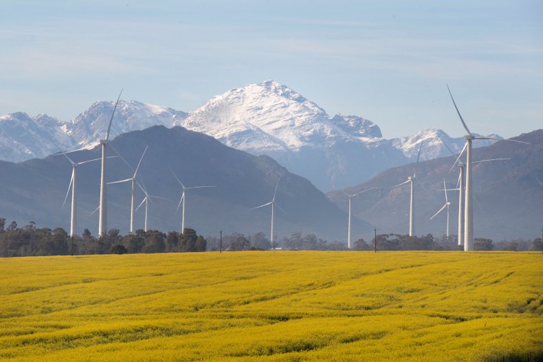 A view of yellow canola fields