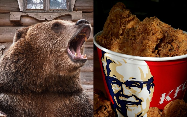 A bear and a bucket of KFC.