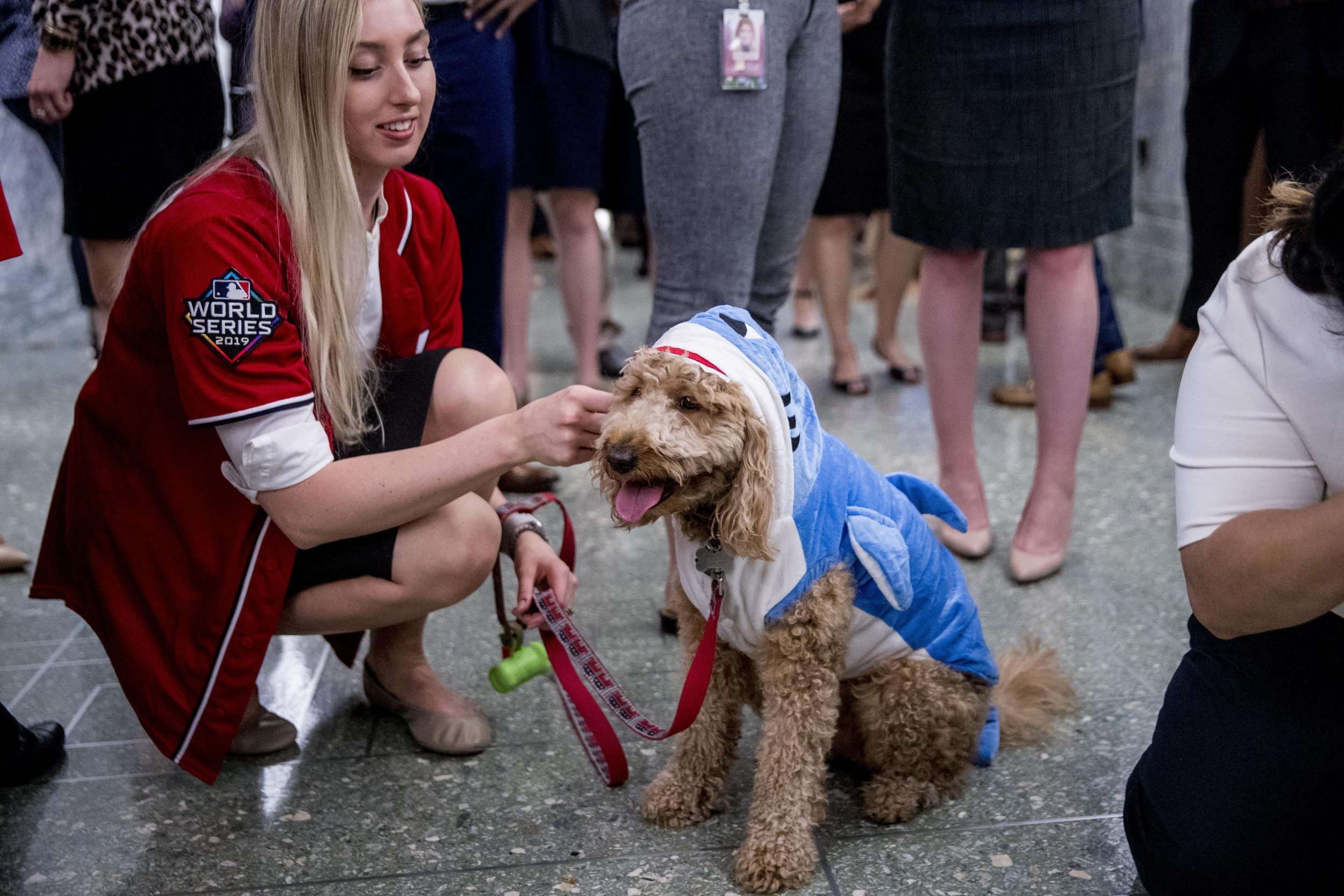 The Best Dog Halloween Costumes From Washington Square Park's Annual