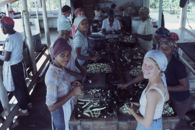 Jonestown kitchen Jonestown kitchen