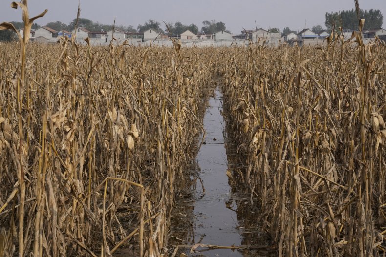 China Climate