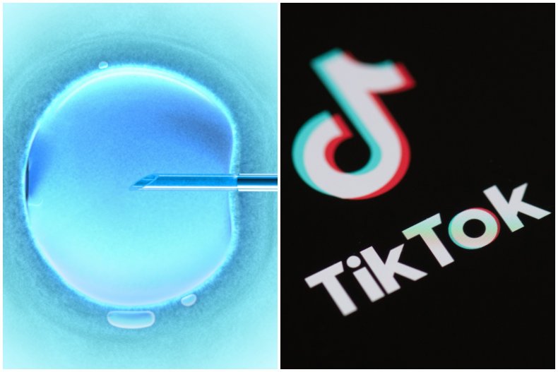 TikTok IVF