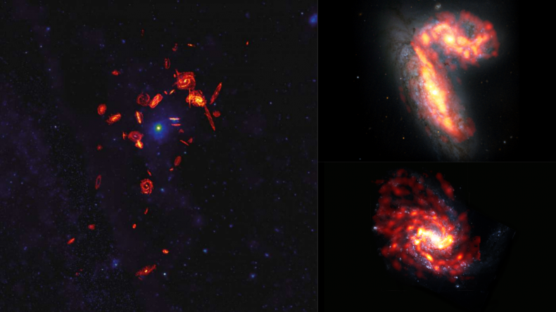 Galaxies stripped of Gas