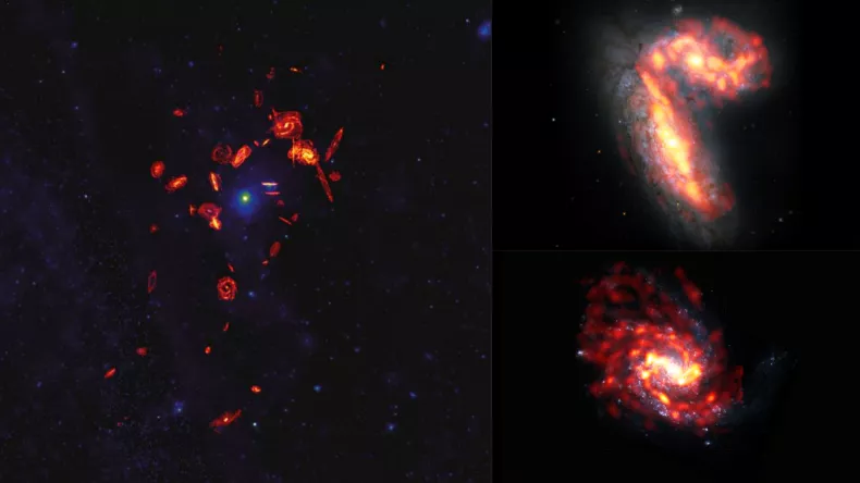 galaxies-stripped-gas.webp?w=790&f=efb2d