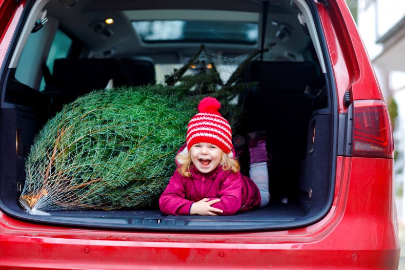 Plant A Christmas Tree