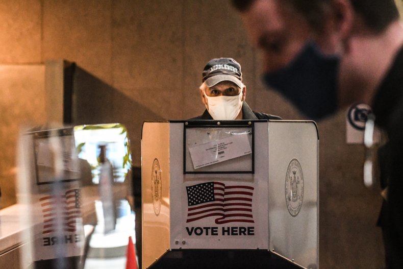 New York Democratic party voting access proposals
