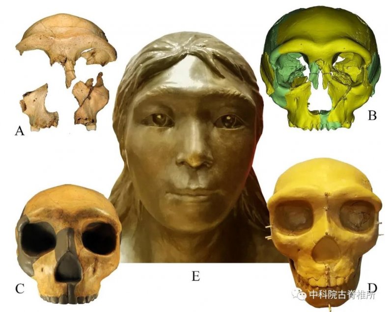 Skull, Hualong Cave No. 6.