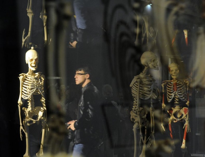 Human Body, Cadaver, Skeletal