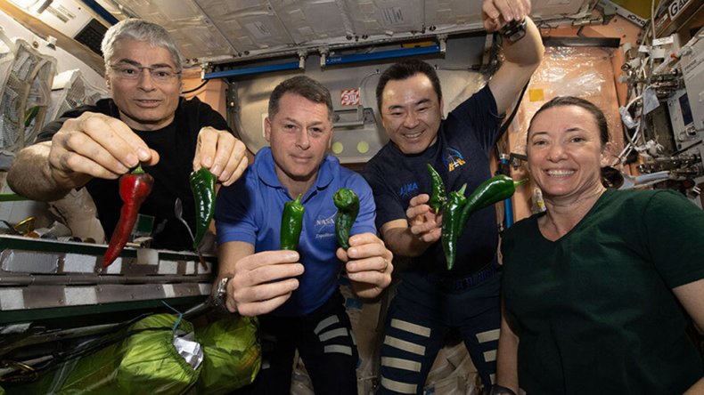 ISS Astronauts