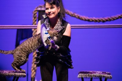 The Performing Cats Samantha Martin Trains 