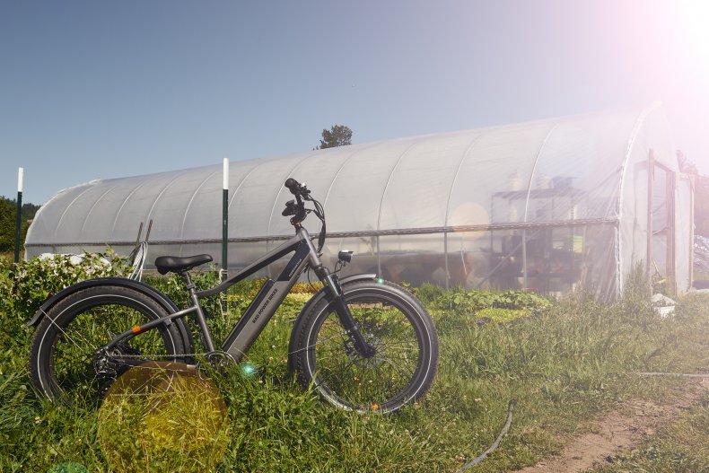 Rad RadRover 6 Plus