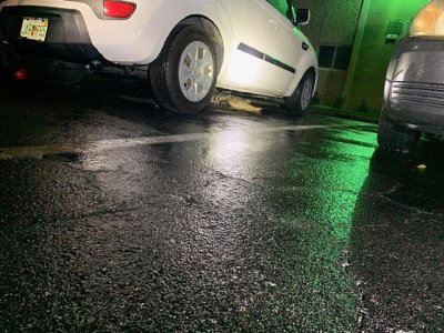 Collier County Sheriffs Office share gator snaps. Collier County Sheriffs Office share gator snaps.