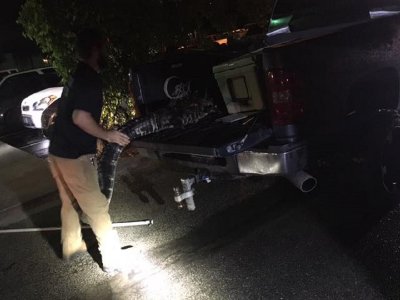 Collier County Sheriffs Office share gator snaps. Collier County Sheriffs Office share gator snaps.