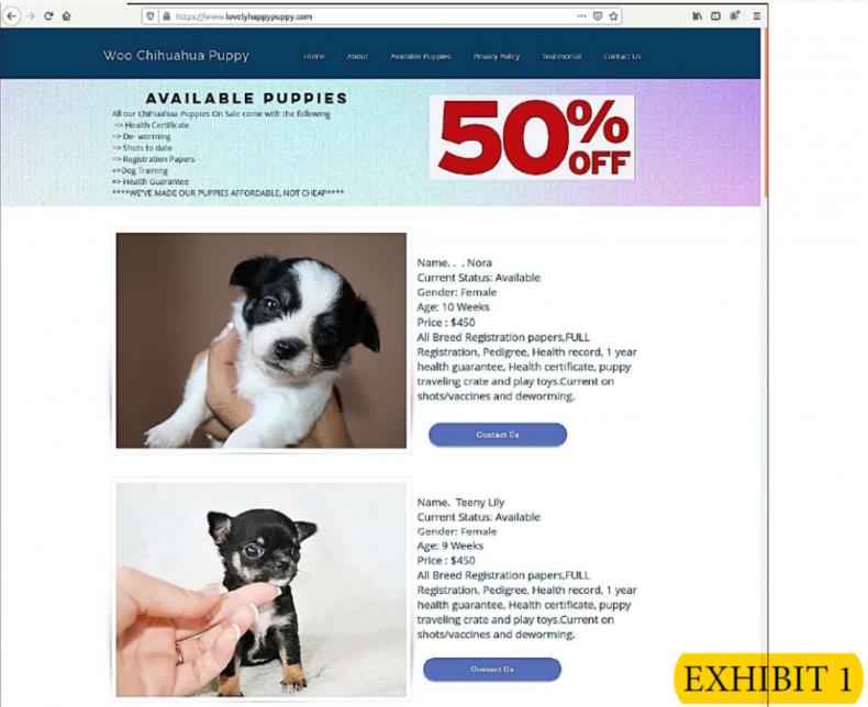 Desmond Fodje Bobga Fake Puppy Website
