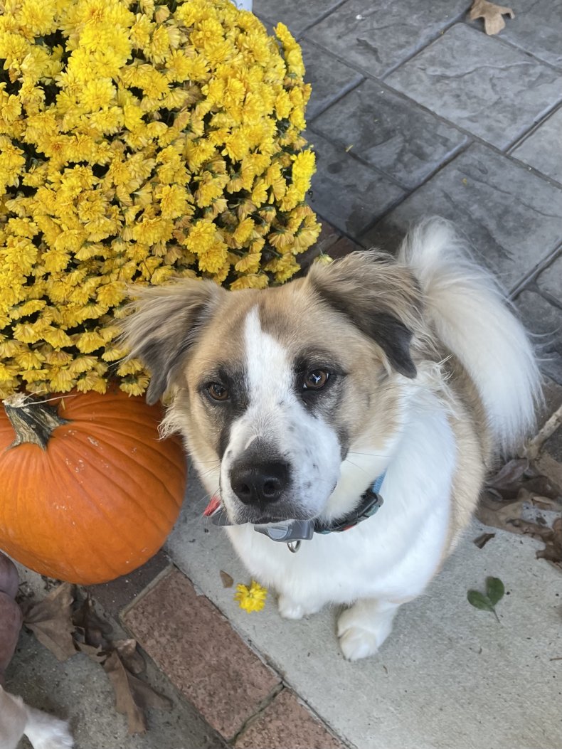 Diego and a pumpkin
