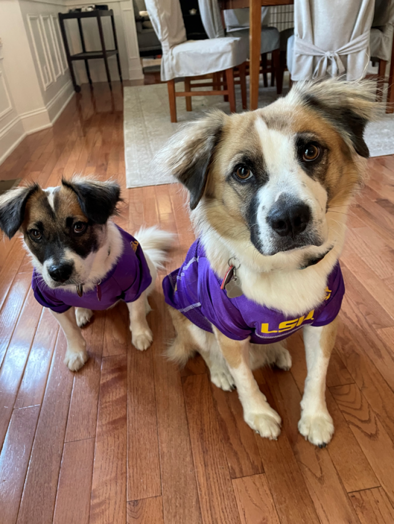 Diego and Dixie