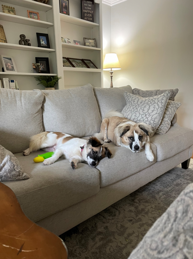 Diego and Dixie