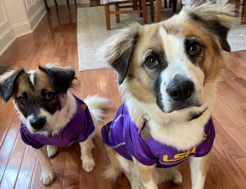 Dixie and Diego