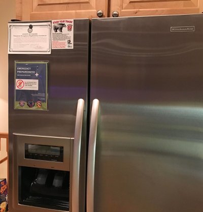 The Freezer The Bear Was Emptying The Freezer The Bear Was Emptying