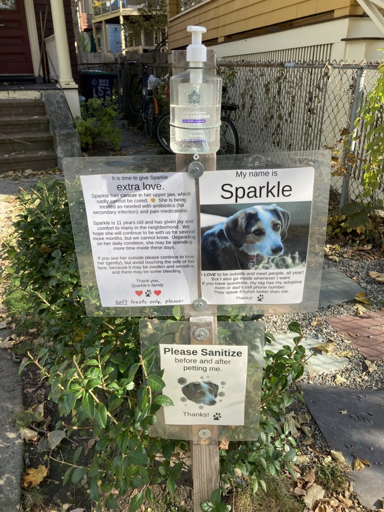 Signs by Sparkle the dog. 