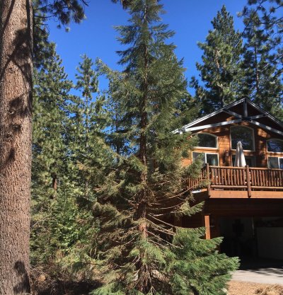 The Cabin Where The Bear Attack Happened The Cabin Where The Bear Attack Happened