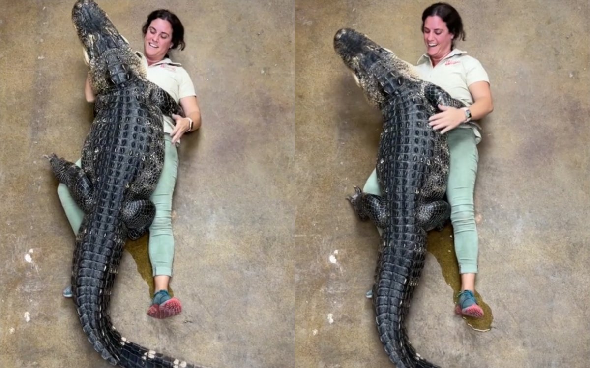 Zookeeper Juliette Brewer and alligator Darth Gator.