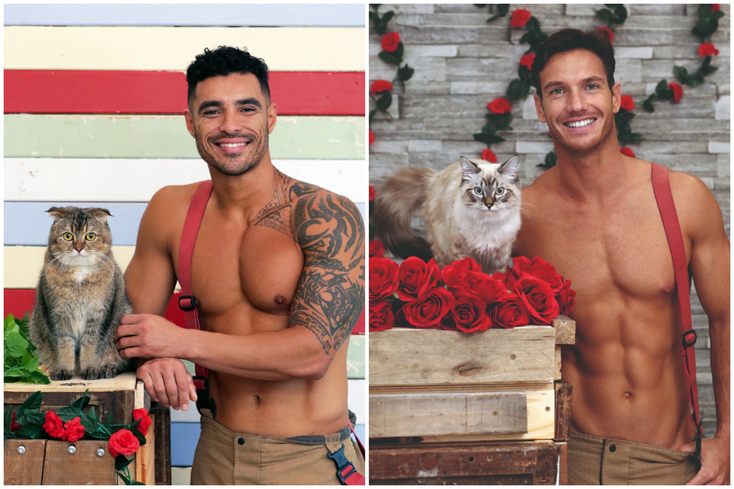 Firefighters Pose Topless With Cats in Scorching Hot 2022 Calendar