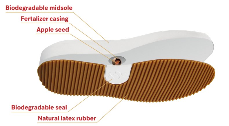 The Design of The Johnny Sneaker