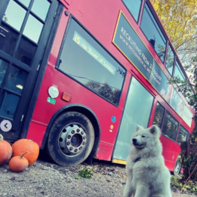 A London Double Decker Bus Home Conversion A London Double Decker Bus Home Conversion