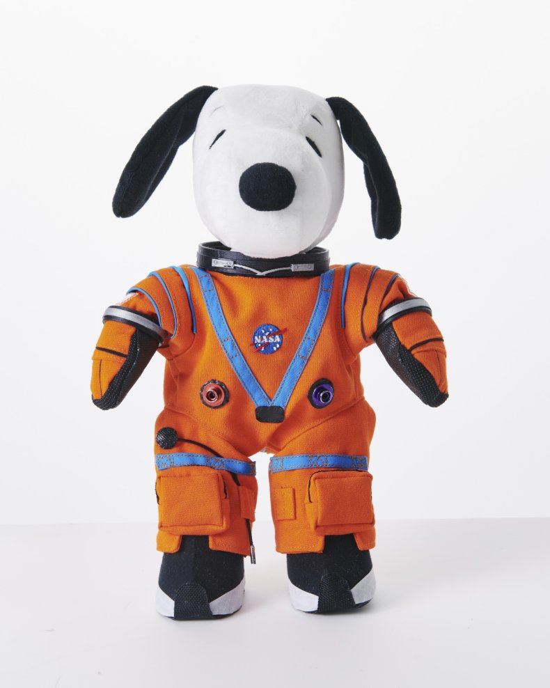 Snoopy, Space, Rocket, Launch