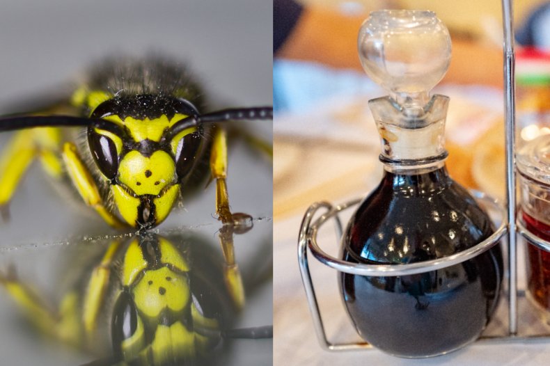 wasp soy sauce