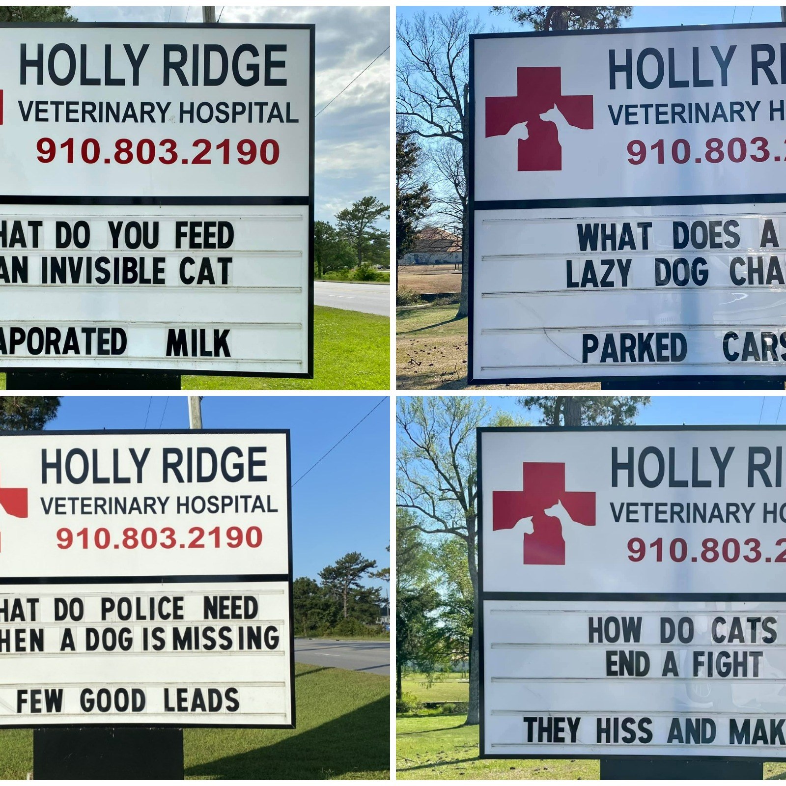 Funny Vet Puns: Hilarious Jokes to Make Your Day!