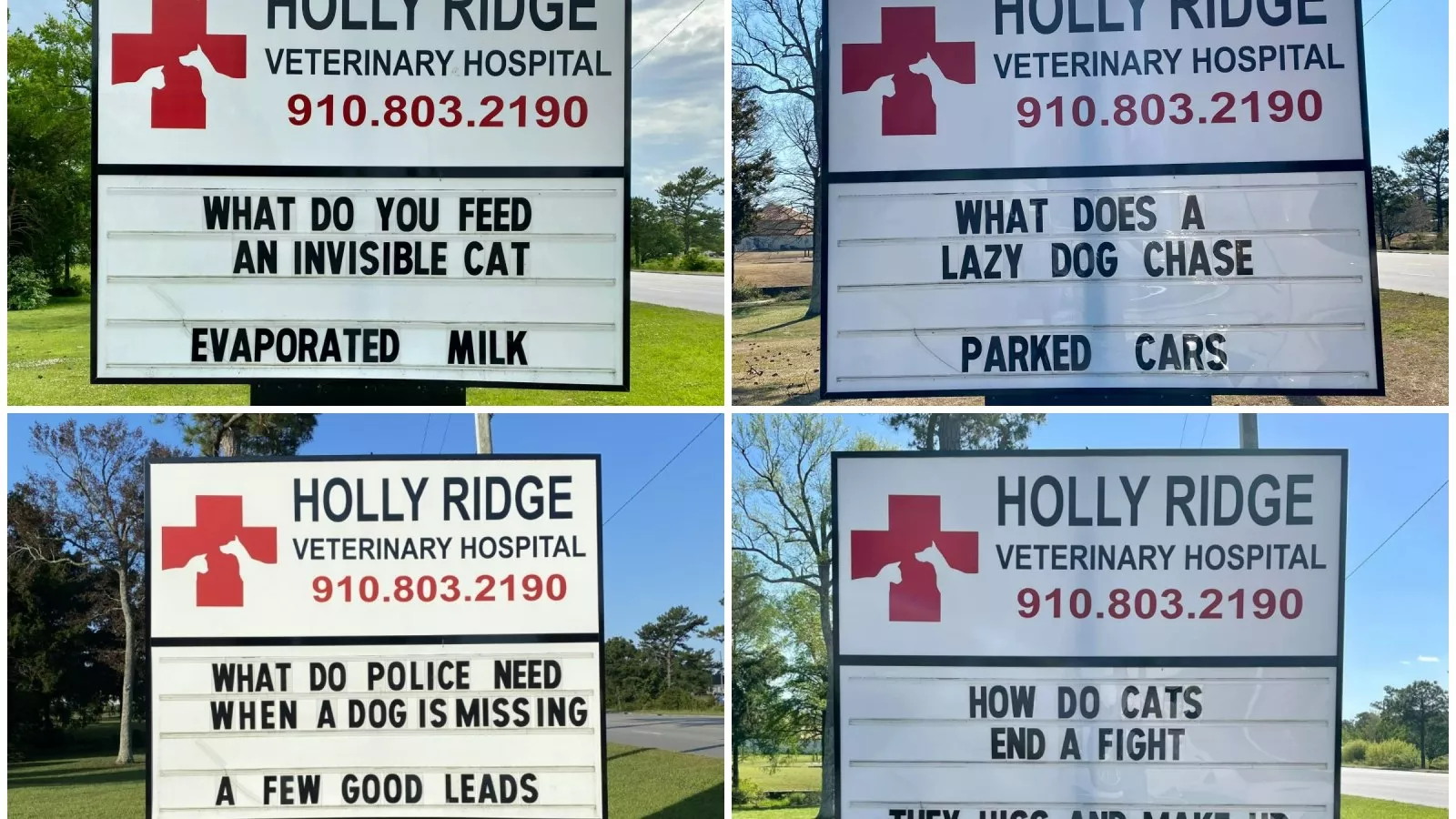 Vet's Hilarious Weekly Signs Featuring 'Corny' Pet Jokes Applauded Online Vet's Hilarious Weekly Signs Featuring 'Corny' Pet Jokes Applauded Online