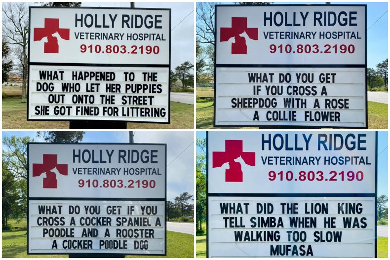 Signs at Holly Ridge Veterinary Hospital. 