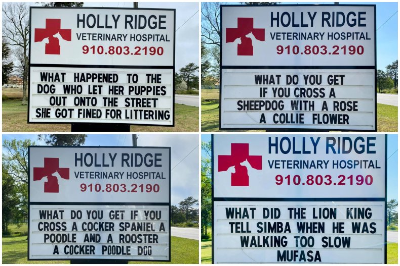 Signs at Holly Ridge Veterinary Hospital.