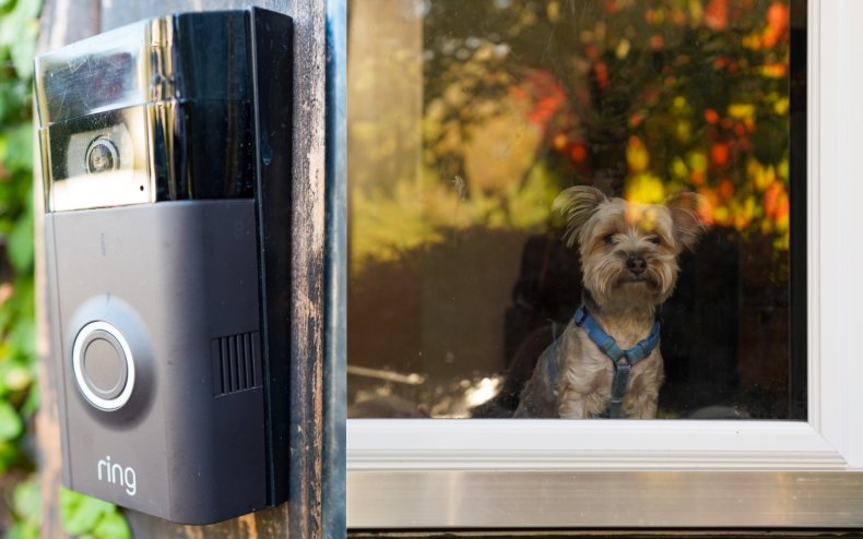 Ring doorbell and dog