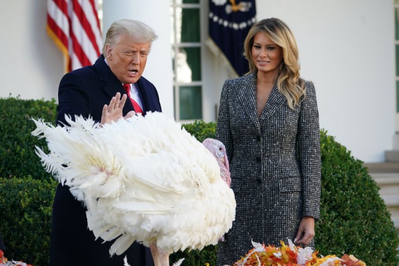 Donald Trump pardons a Thanksgiving turkey.