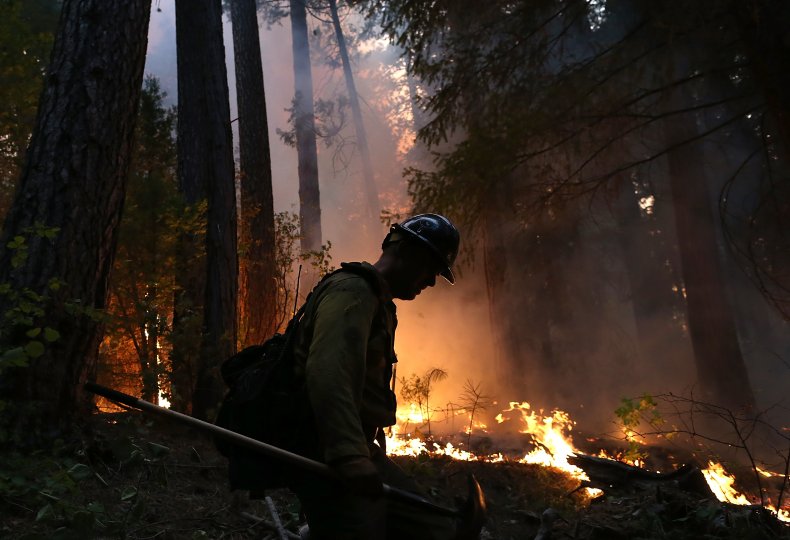 Wildfire