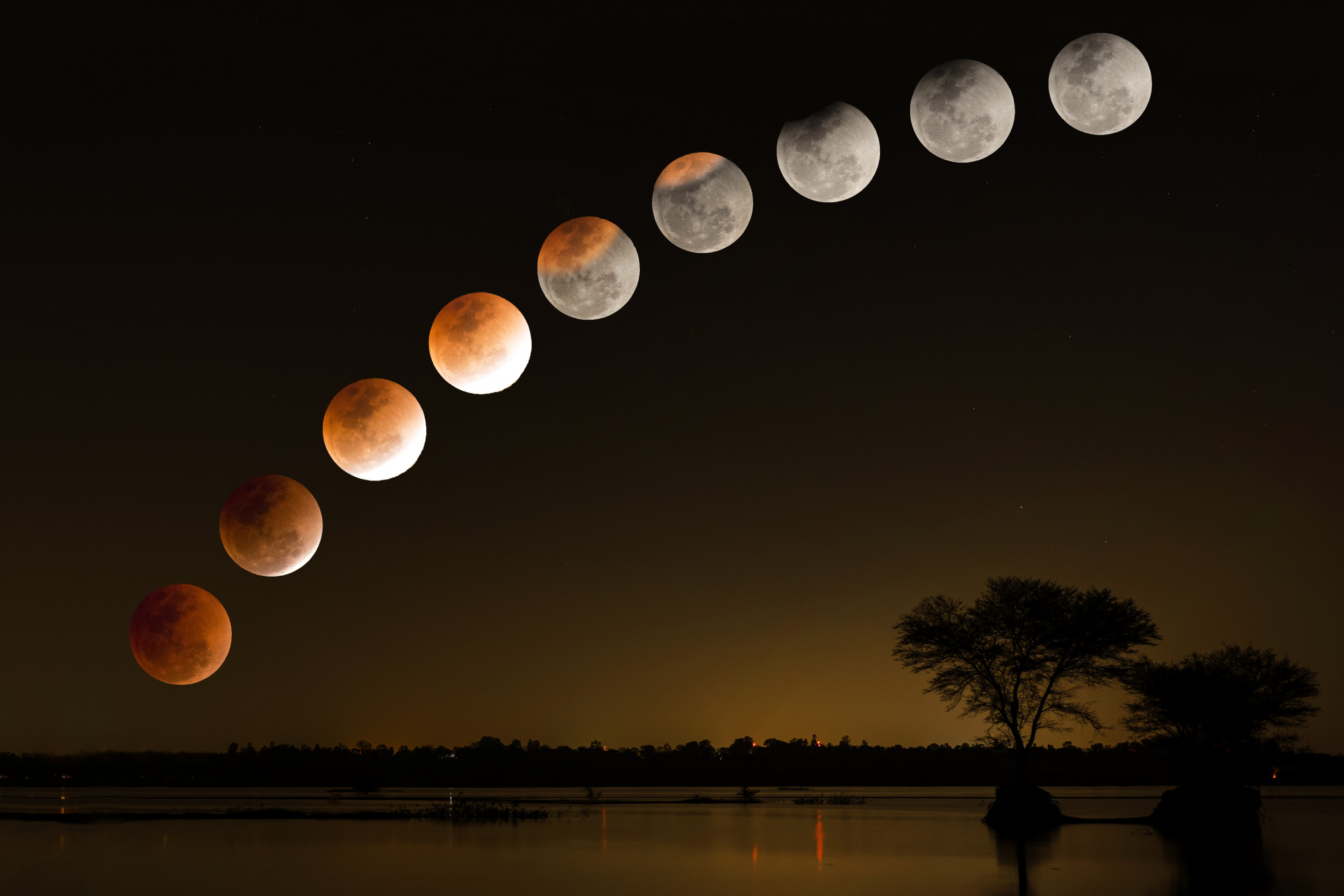 When Is the Partial Lunar Eclipse November 2021 and Can I See It From