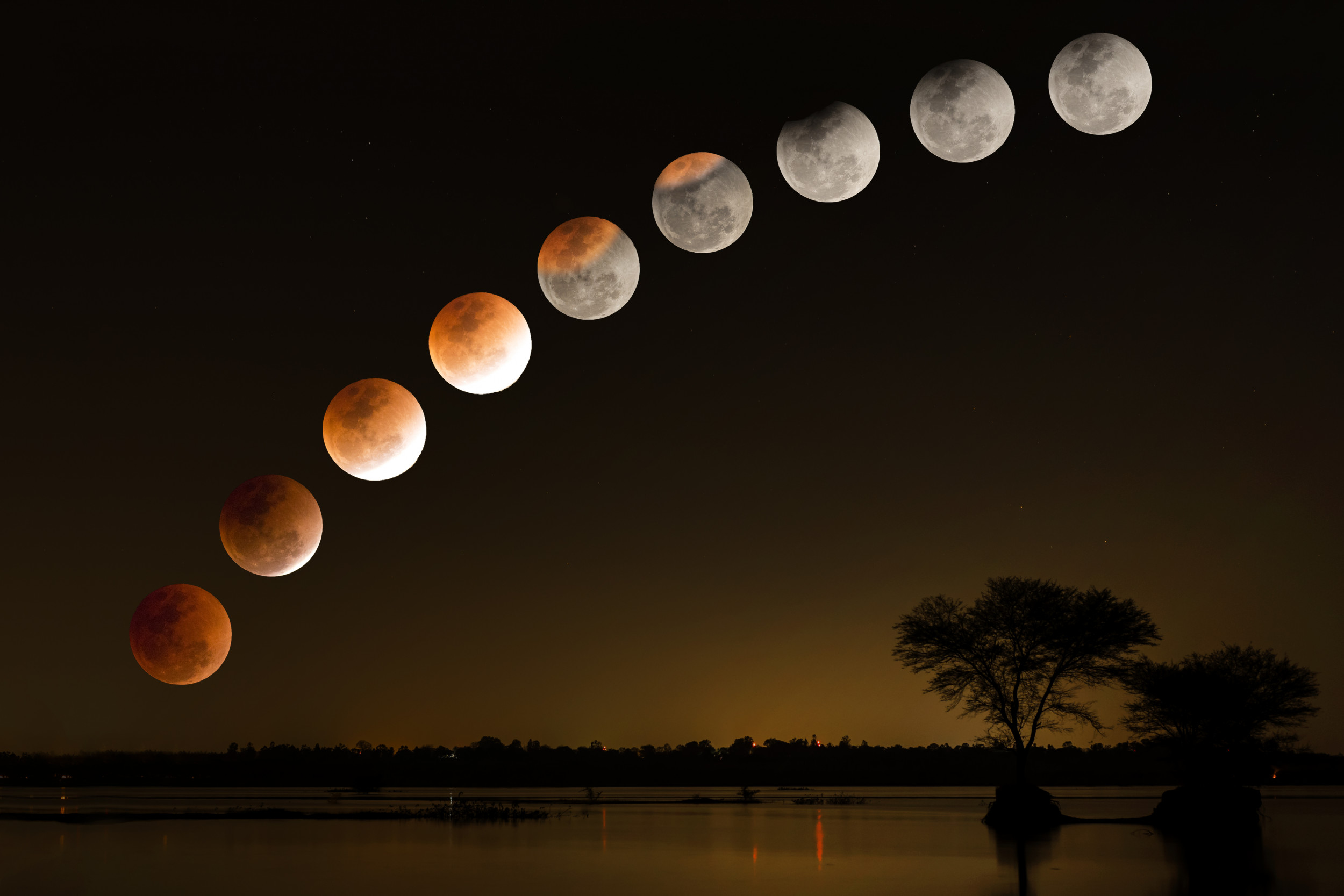When Is The Partial Lunar Eclipse November 2021 And Can I See It From