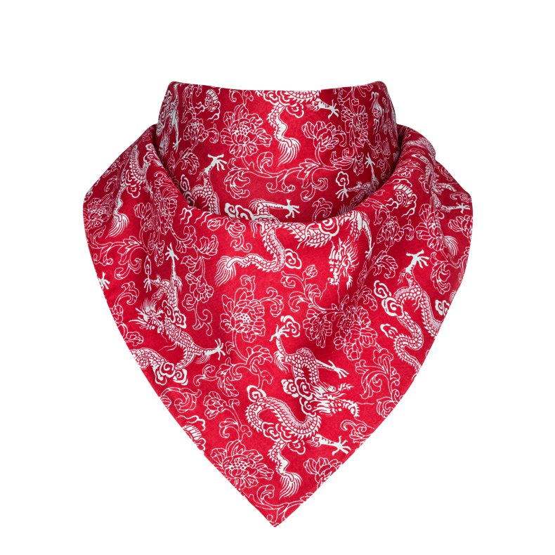 A red bandana style scarf.