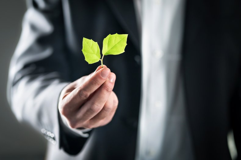 Offset Your Carbon This Thanksgiving