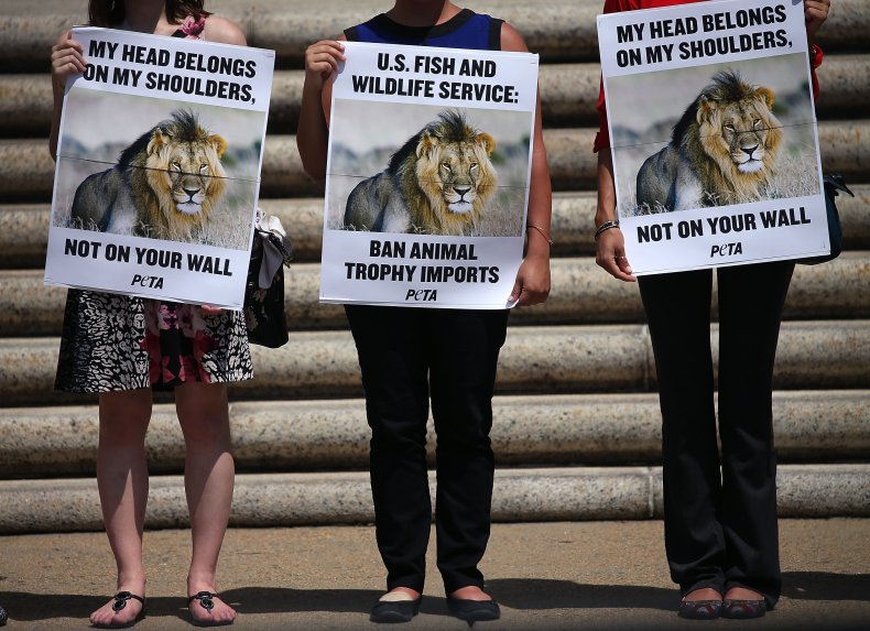 cecil the lion