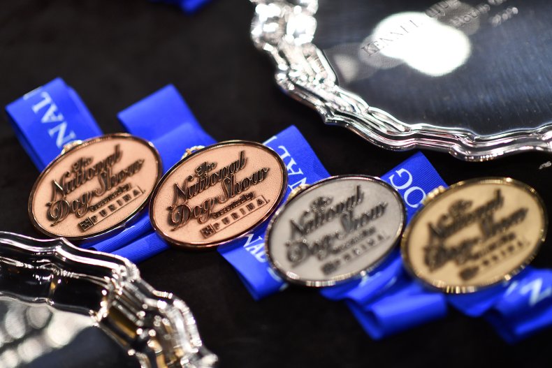 Medals at the 2019 National Dog Show.