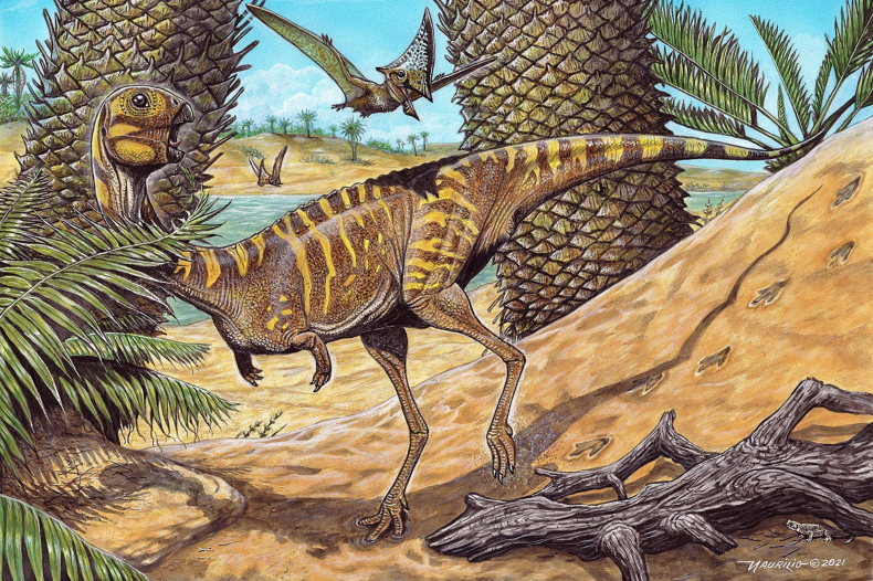 Artist's reconstruction of Berthasaura leopoldinae dinosaur