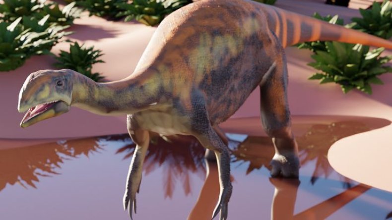 Issi saaneq, dinosaur