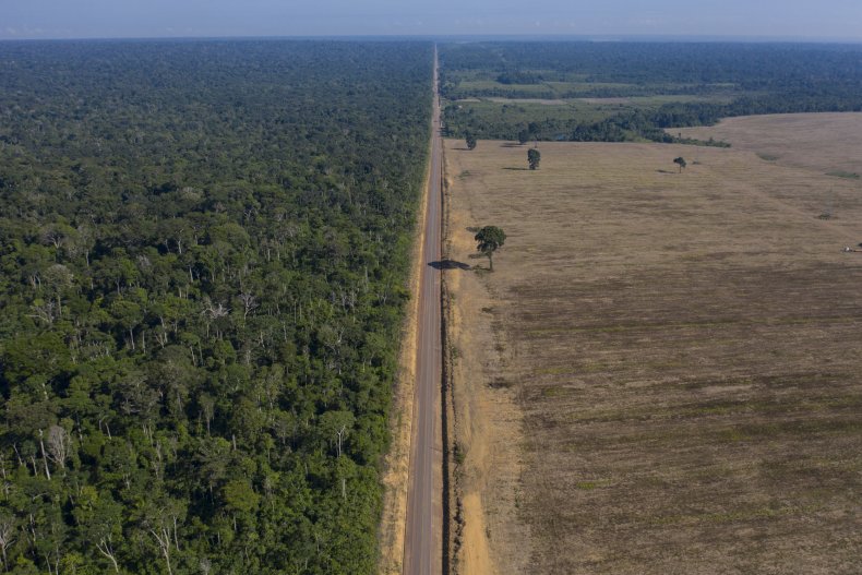 Amazon, Deforestation, Increased, Jair Bolsonaro