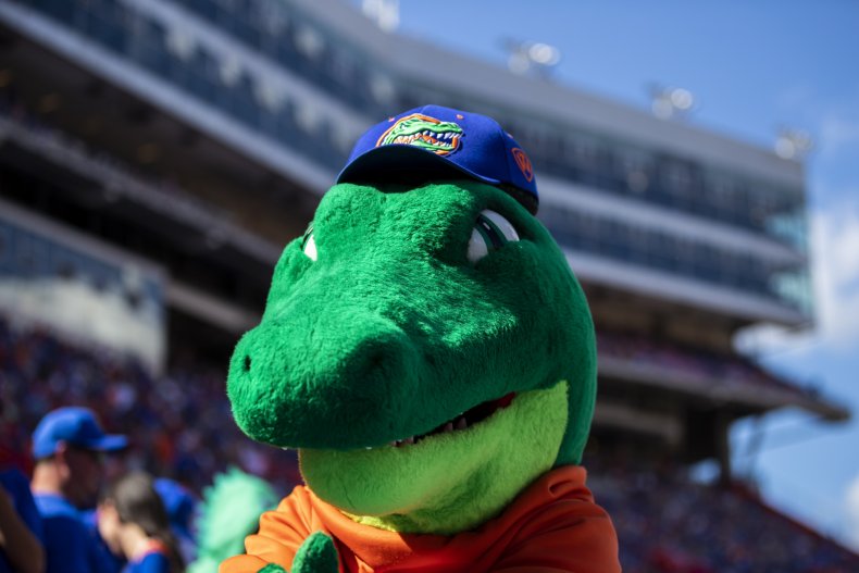 University of Florida, Gators