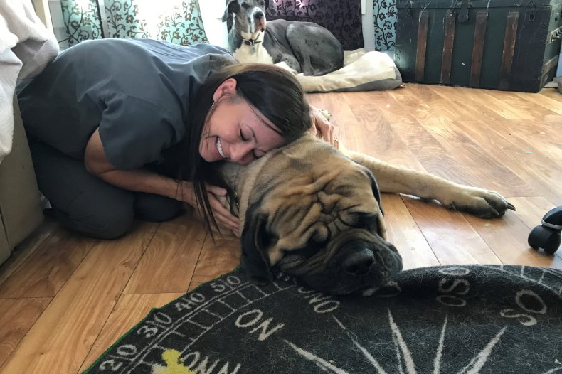 Dr. Shea Cox and a Pet Patient